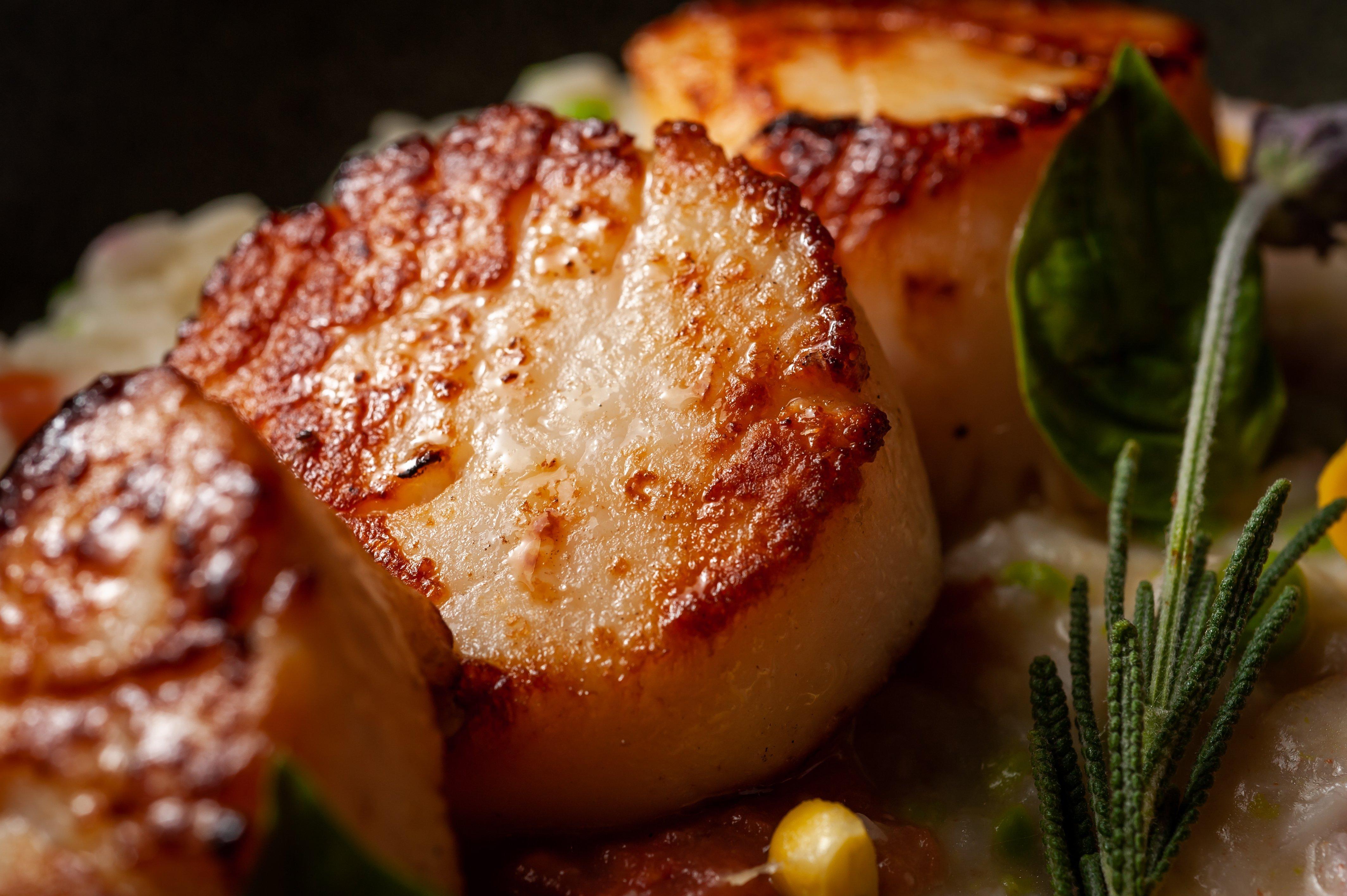 Kimpton Epic Hotel By Ihg Miami Kültér fotó Pan-seared scallops